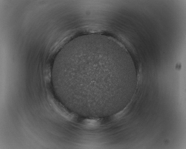 X0000112430170200908281910