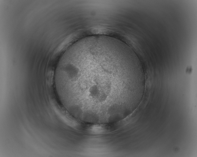 X0000112430171200908281910