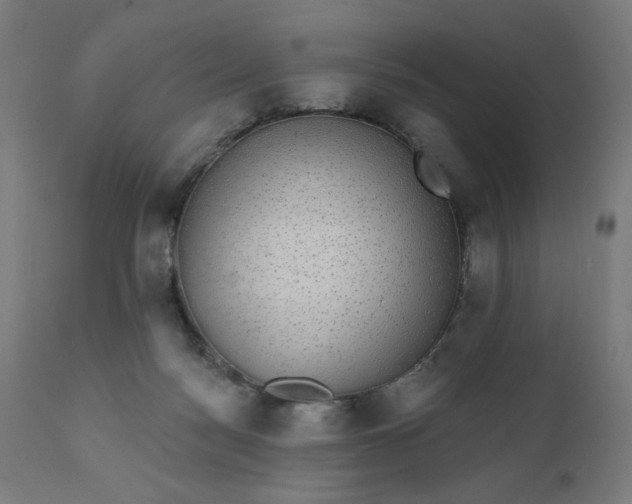 X0000112430172200908281910