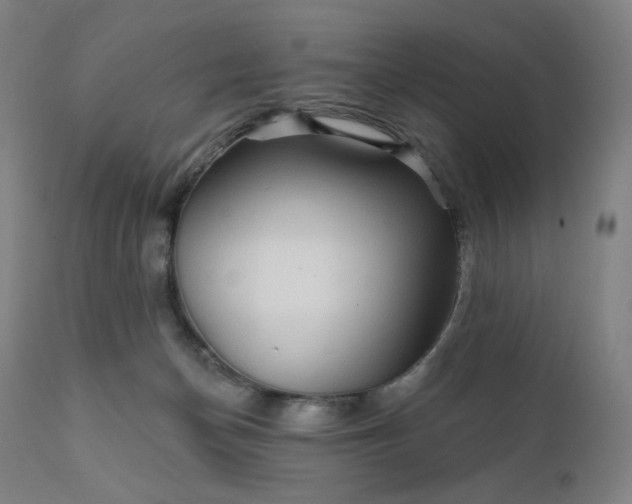 X0000112430174200908281910