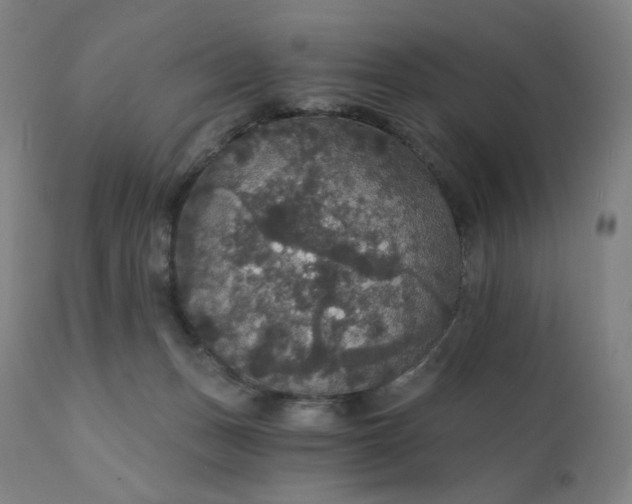 X0000112430175200908281910