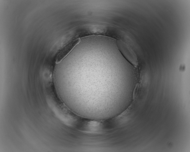 X0000112430176200908281910