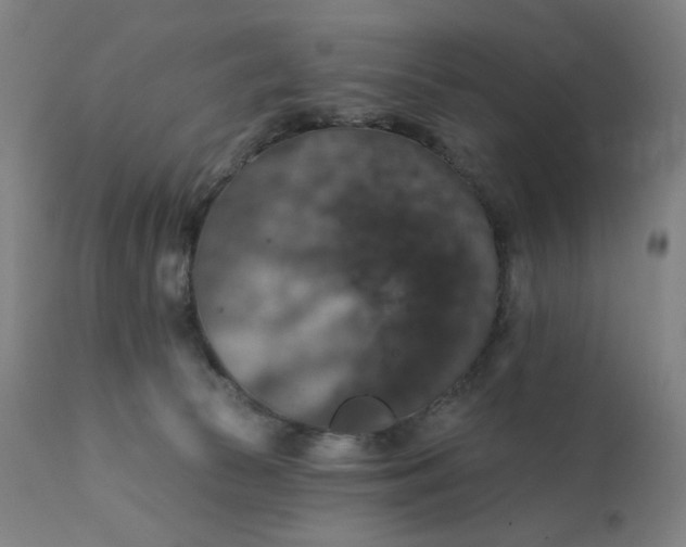 X0000112430177200908281910