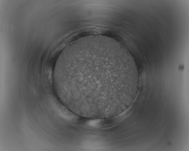 X0000112430178200908281910