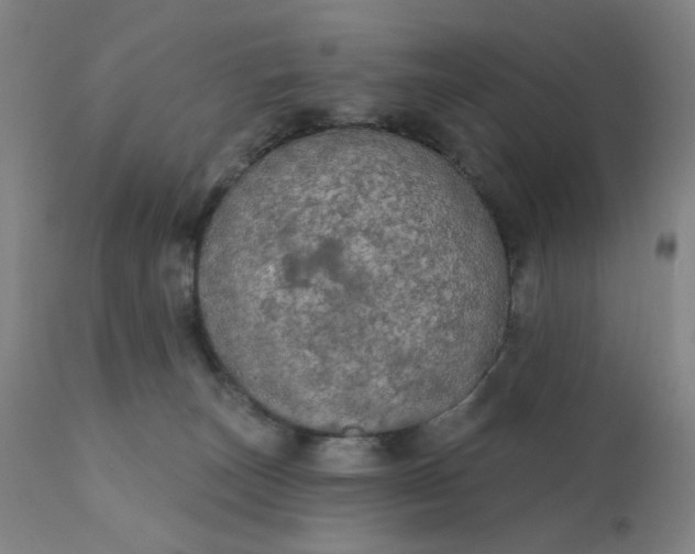 X0000112430179200908281910