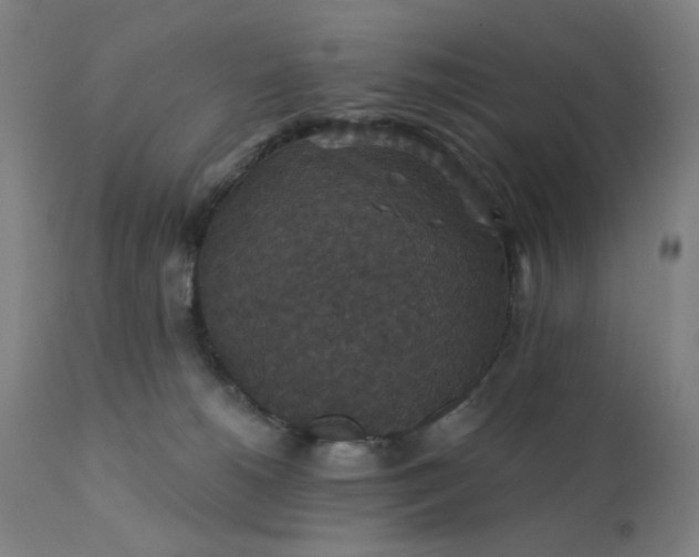 X0000112430180200908281910