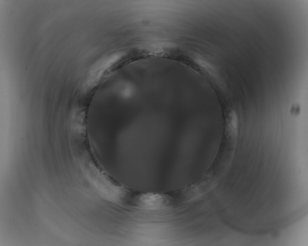 X0000112430181200908281910