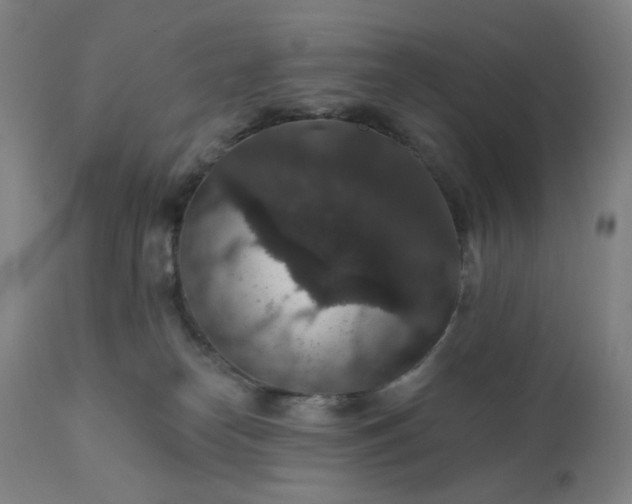 X0000112430182200908281910