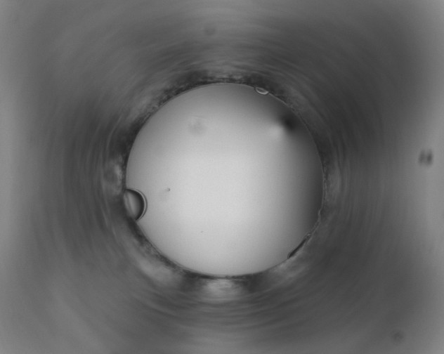 X0000112430183200908281910