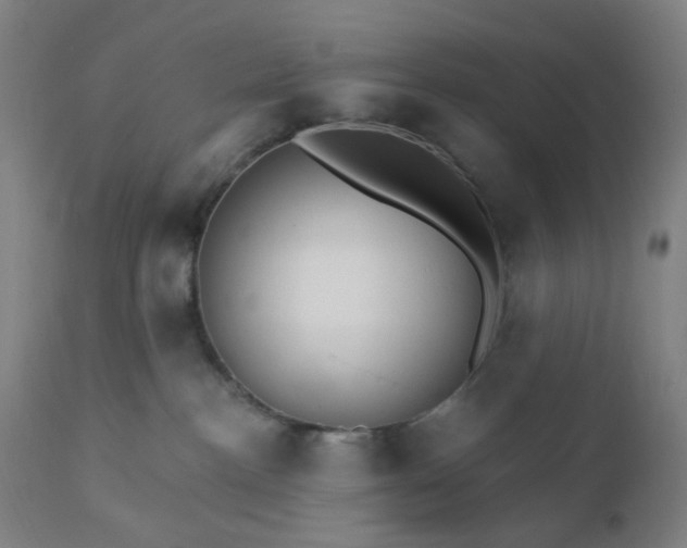 X0000112430188200908281911