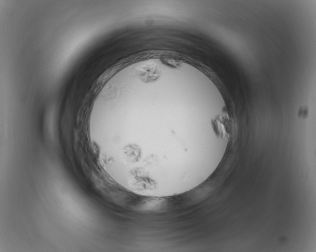 X0000112430189200908281911