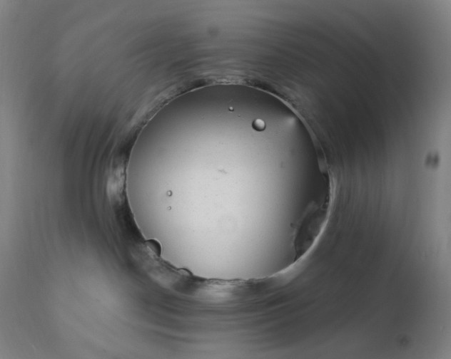 X0000112430190200908281911