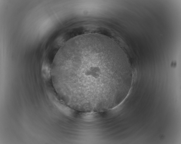 X0000112430191200908281911