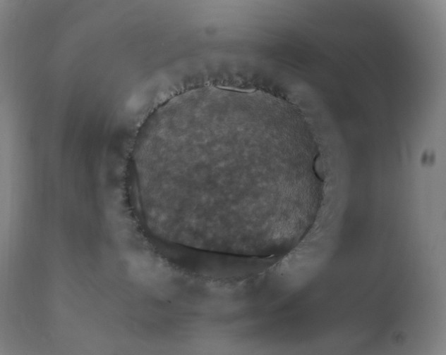 X0000112430192200908281911