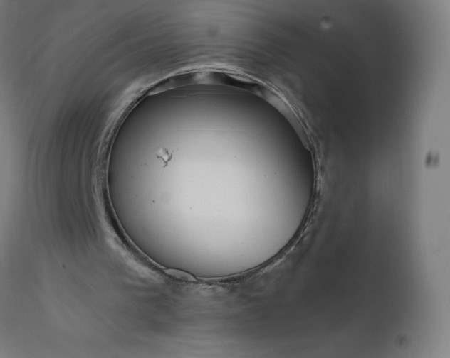 X0000112430193200908281910