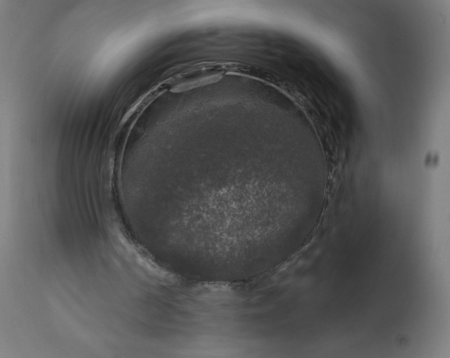 X0000112430194200908281910