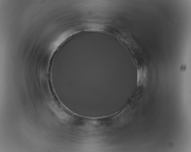 X0000112430195200908281910