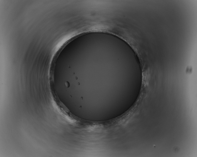 X0000112430196200908281910