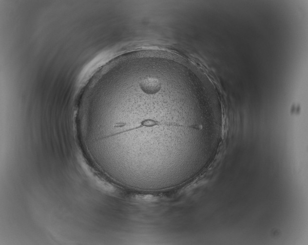 X0000112430197200908281910