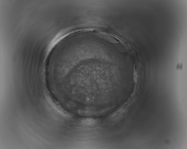 X0000112430198200908281910