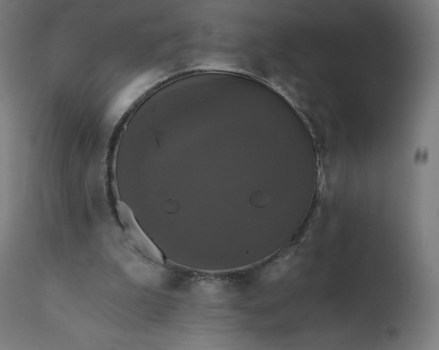 X0000112430199200908281910