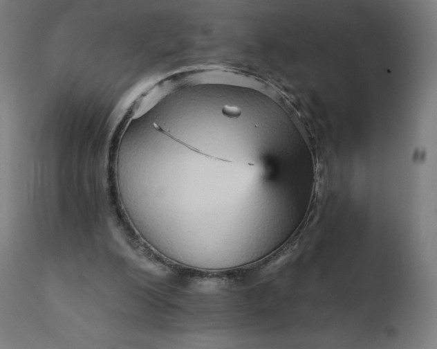 X0000112430200200908281910