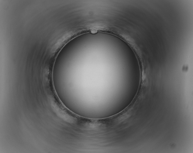 X0000112430201200908281910