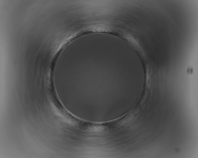 X0000112430202200908281910