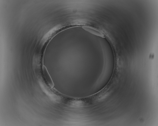 X0000112430203200908281910