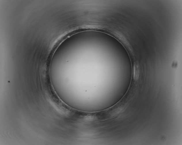 X0000112430204200908281910