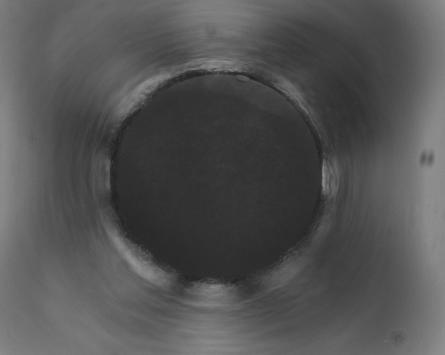 X0000112430205200908281910