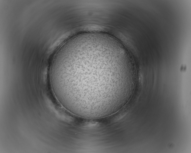 X0000112430206200908281910