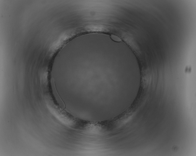 X0000112430207200908281910