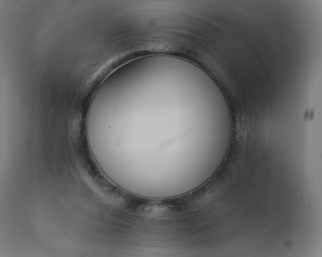 X0000112430208200908281910