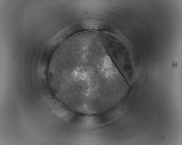 X0000112430209200908281910