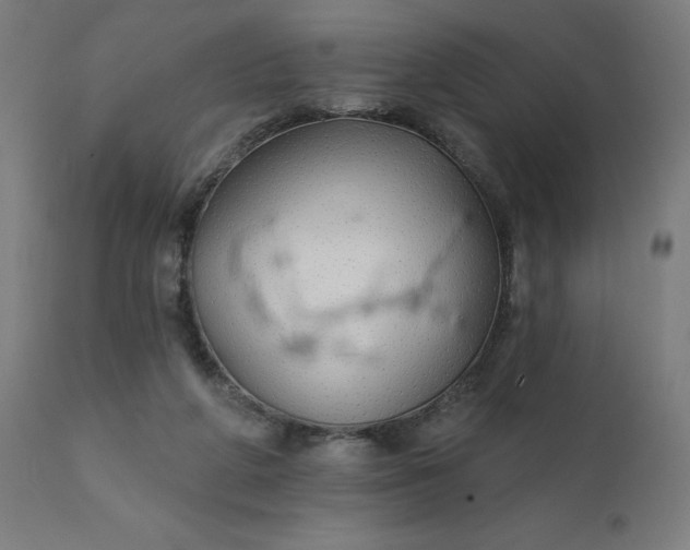 X0000112430210200908281910