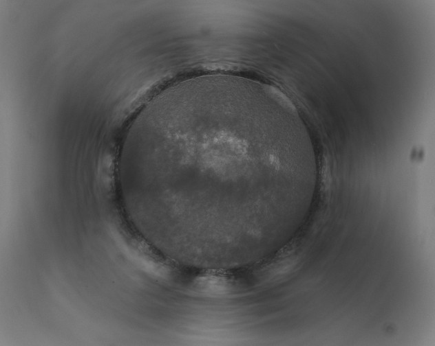 X0000112430211200908281910