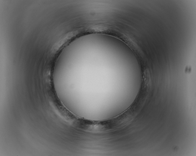 X0000112430212200908281910