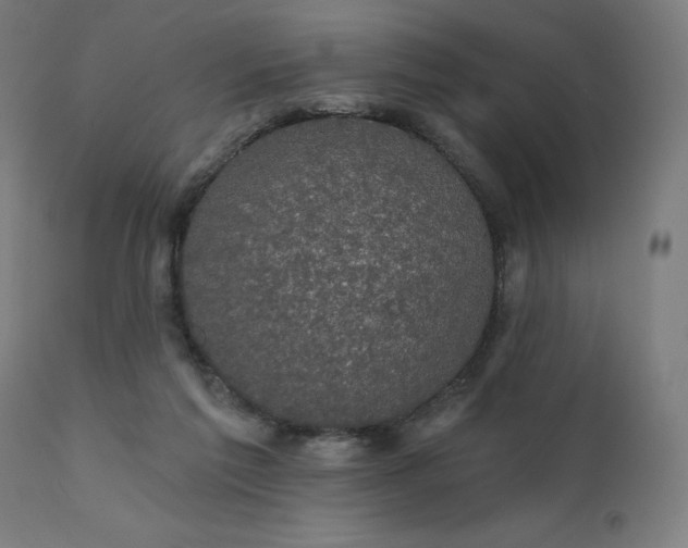 X0000112430213200908281910