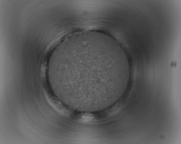 X0000112430214200908281910