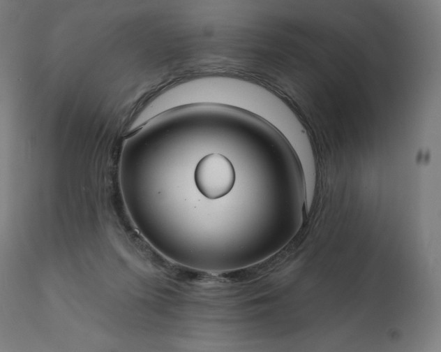 X0000112430215200908281910