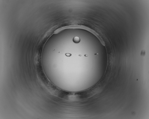 X0000112430216200908281910