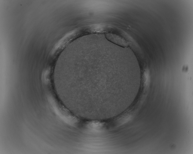 X0000112430217200908281910