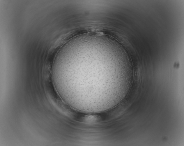 X0000112430218200908281910