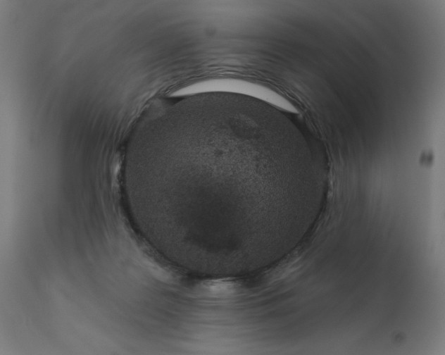 X0000112430219200908281910