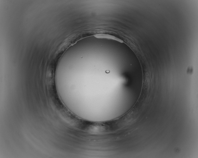 X0000112430220200908281910