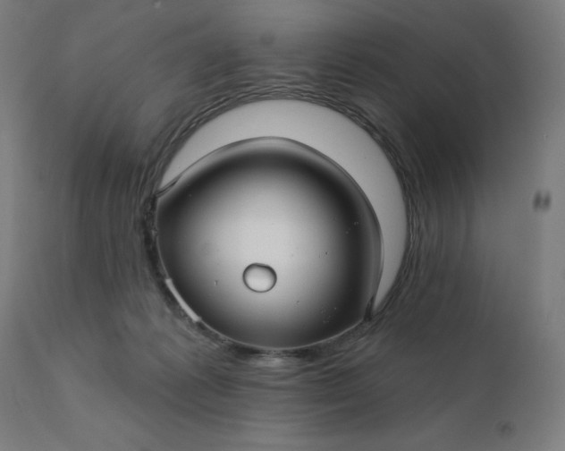 X0000112430221200908281910