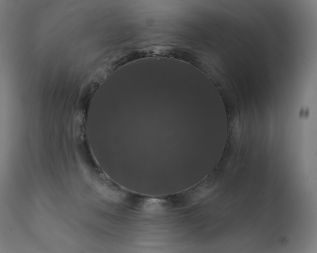 X0000112430222200908281910