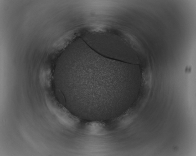 X0000112430223200908281910