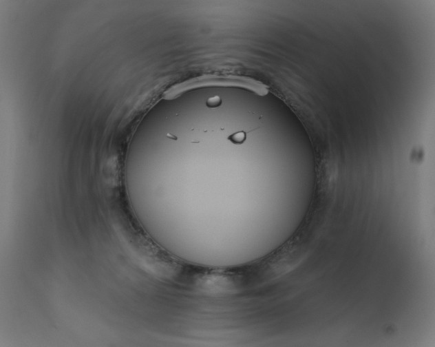 X0000112430224200908281909